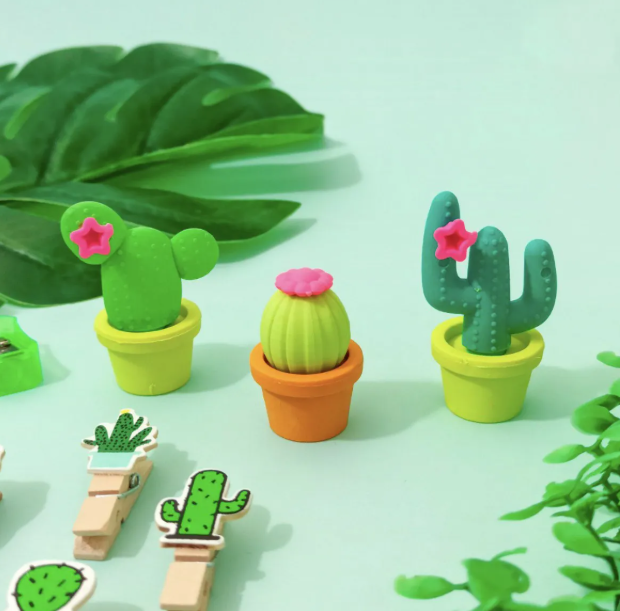 Borracha Plástica Colorida Formato de Cactos