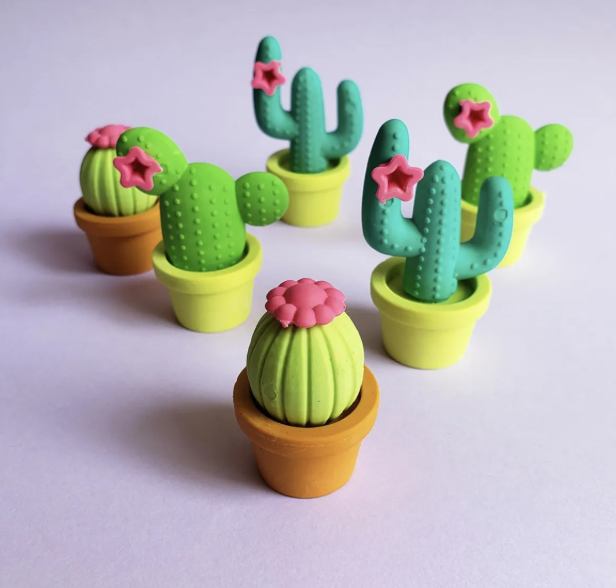 Borracha Cactos Embalagem